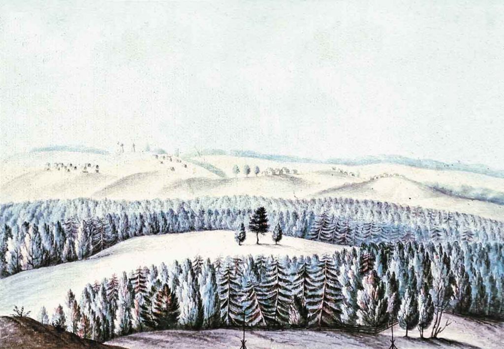 Место, где, по преданию, под среднею сосною был убит Иван Сусанин