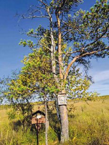 Место предполагаемой гибели Ивана Сусанина