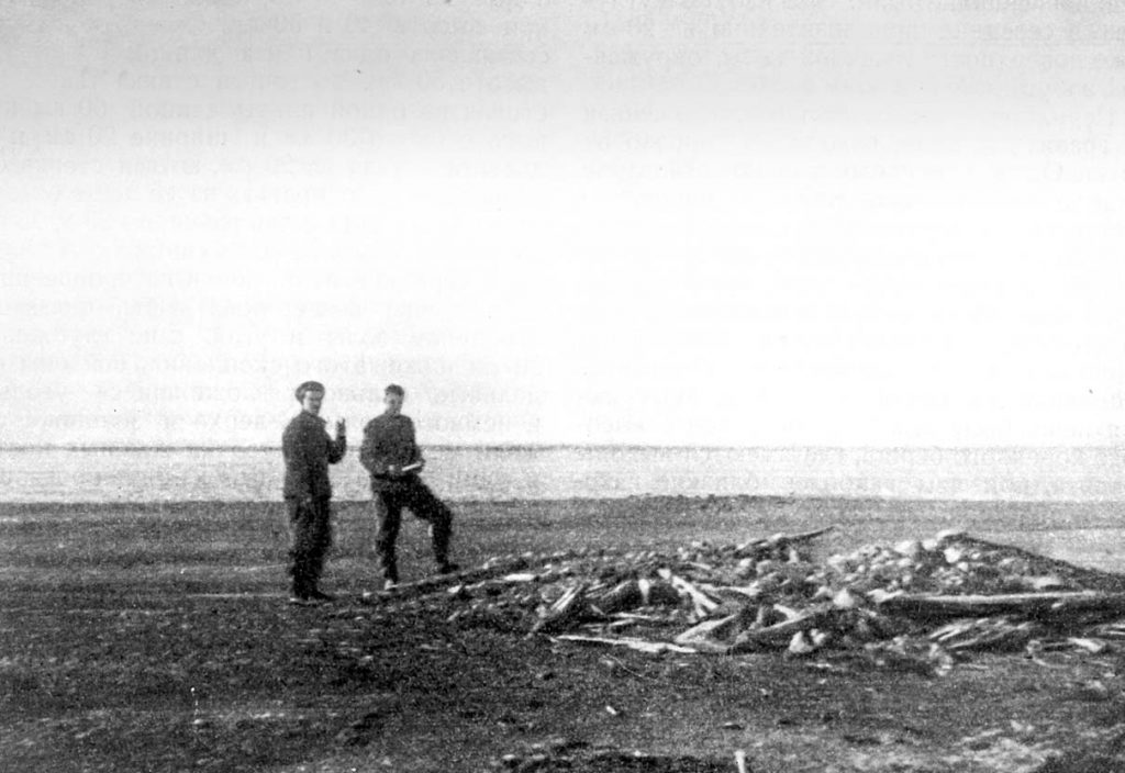 Алексей Окладников (справа) с коллегой у развалин избушки в заливе Симса