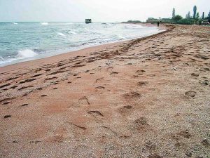 По маршруту «Хождения за три моря»