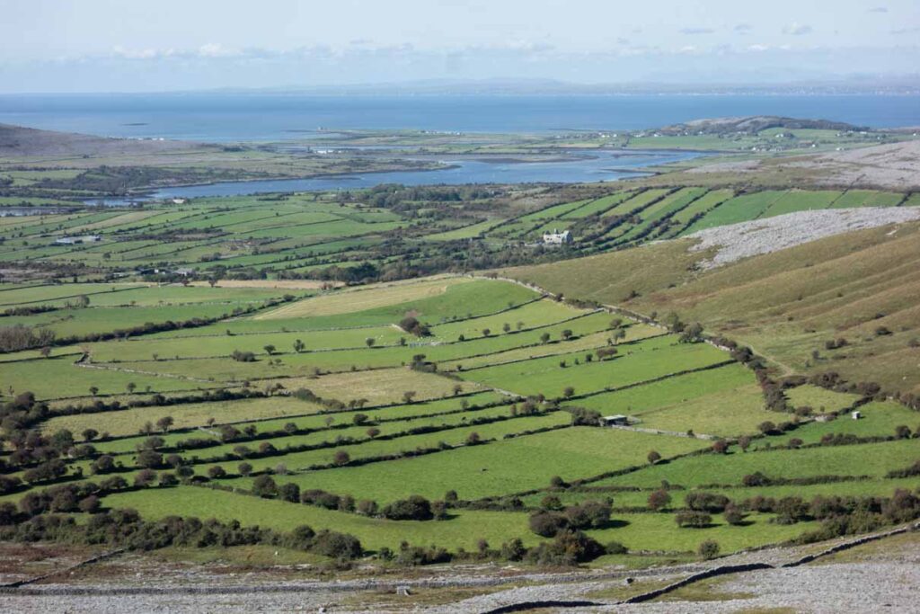 Пейзаж графства Клэр: поля, изрезанные заборами; руины, камни и башня Мартелло на самом краю земли