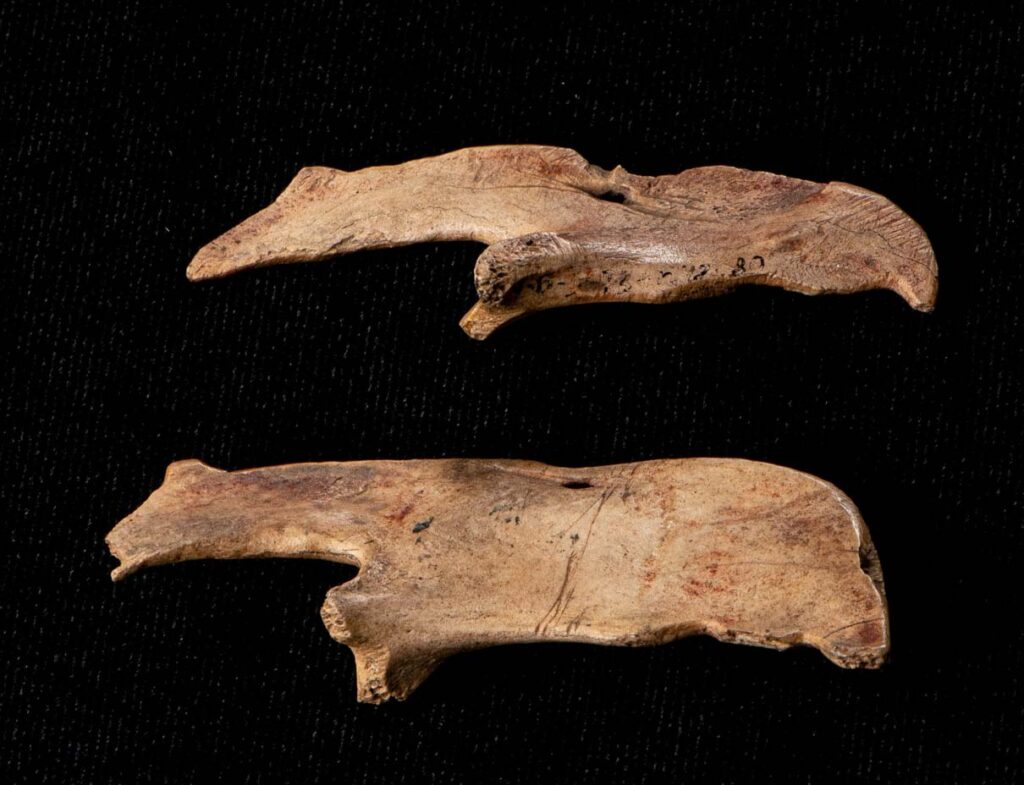 Скульптуры медведей (кость, челюсть козы)