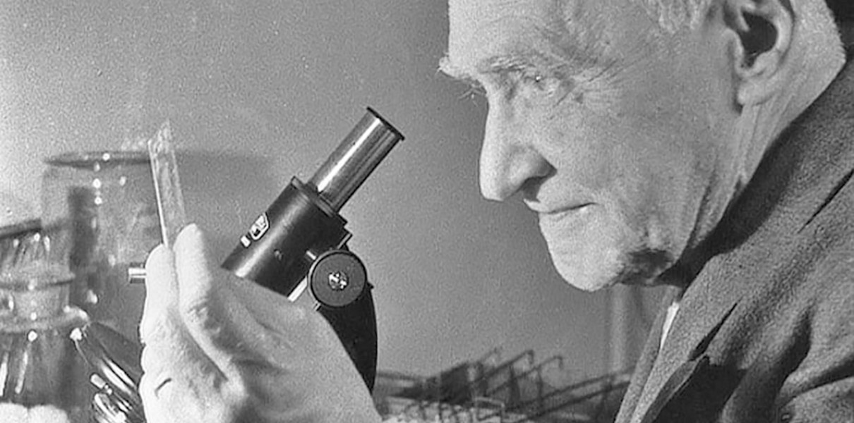 Николай Гамалея