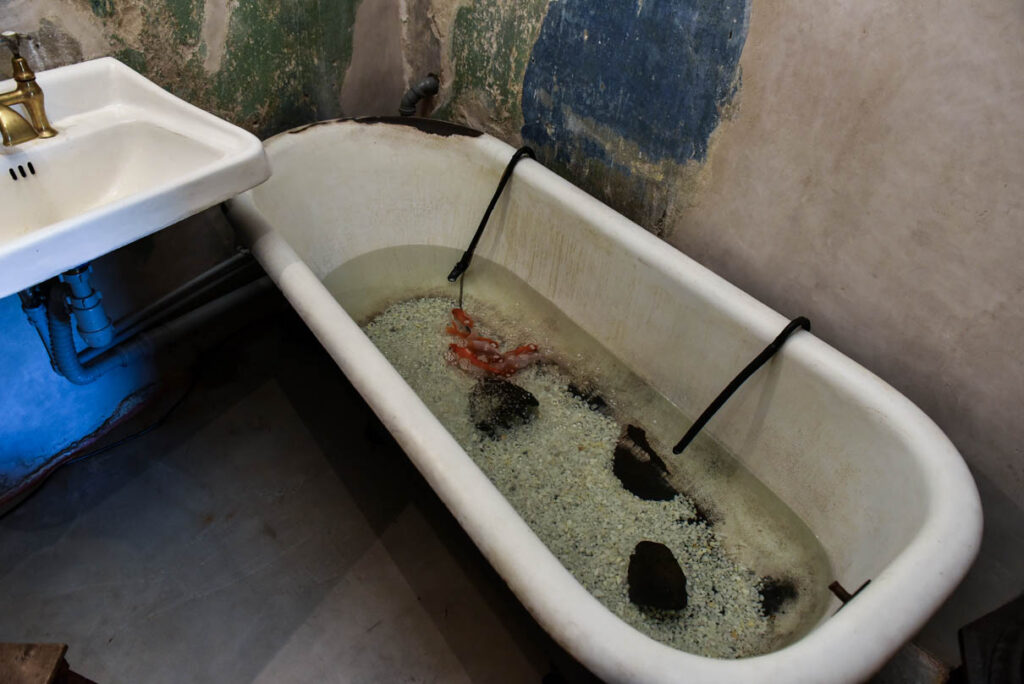 На открытии музея Введенского