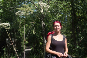 В одиночку по тропе