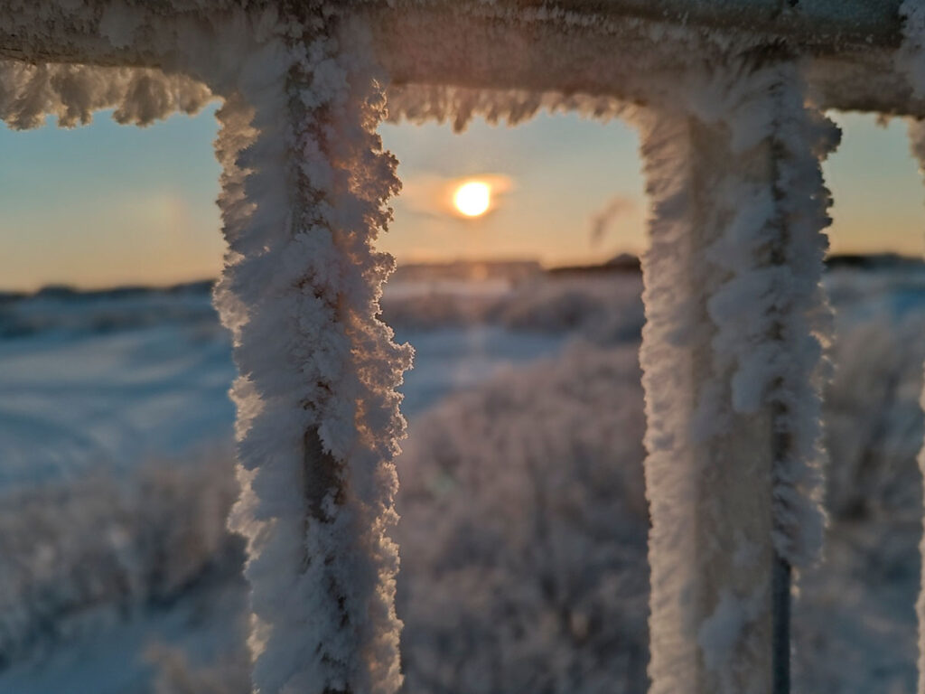 "Солнце над тундрой", Мария Казакова