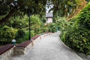 The writer loved working in the garden. Trees planted by Chekhov still grow here