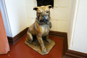 At the entrance, in the small hallway, visitors are greeted by a plaster dog — a gift to Anton Chekhov