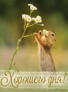 Мотивационные открытки из интернета