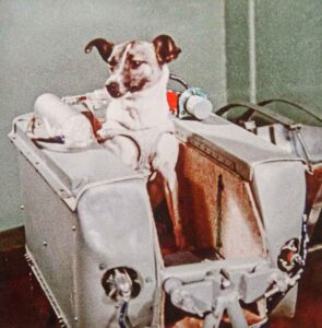 The cabin of the dog Veterok