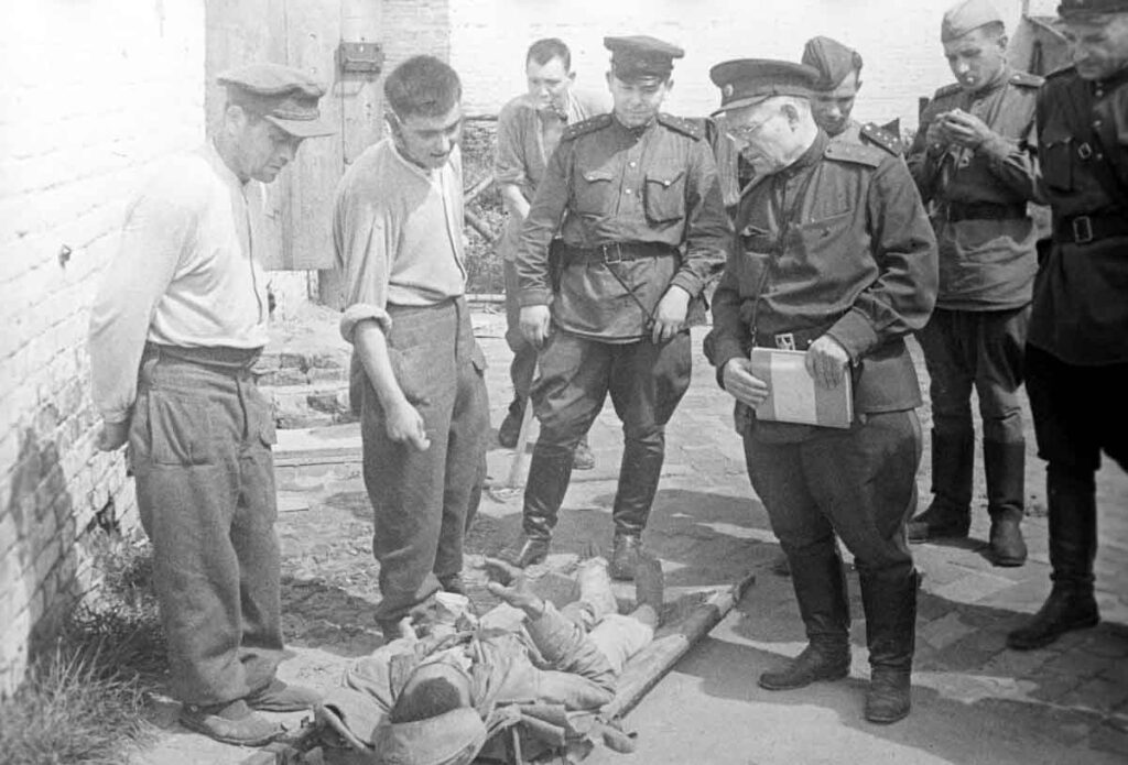 Member of the Extraordinary State Commission for the Investigation of German‑Fascist Crimes