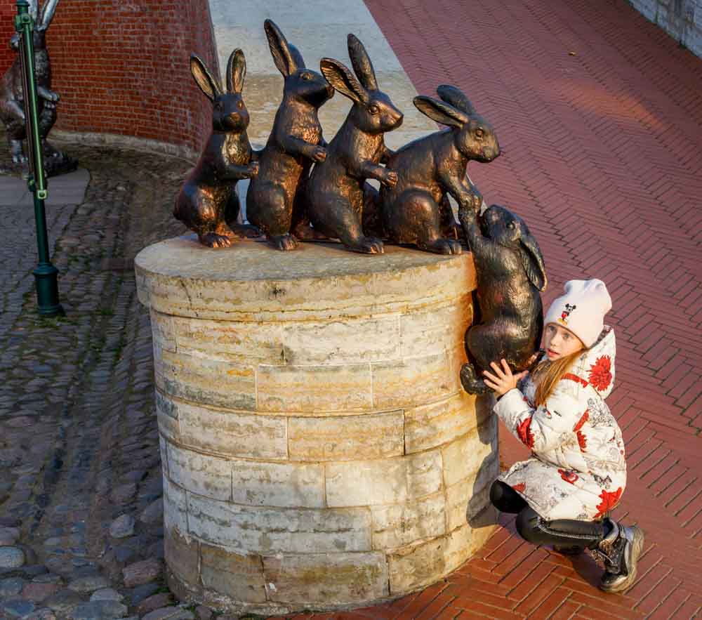 Настоящие хозяева острова – зайцы. Фото Александра Бурого