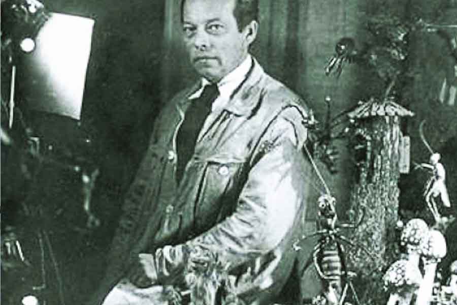 Владислав Старевич
